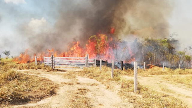 COER atendió este sábado seis incendios forestales en Iñapari, Iberia, Tampopata, Laberinto e Inambari. (Foto: Alcaldía de Iñapari)