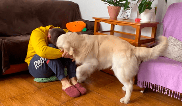 En YouTube se hizo viral la tierna reacción de un perro al notar que su dueño estaba triste.