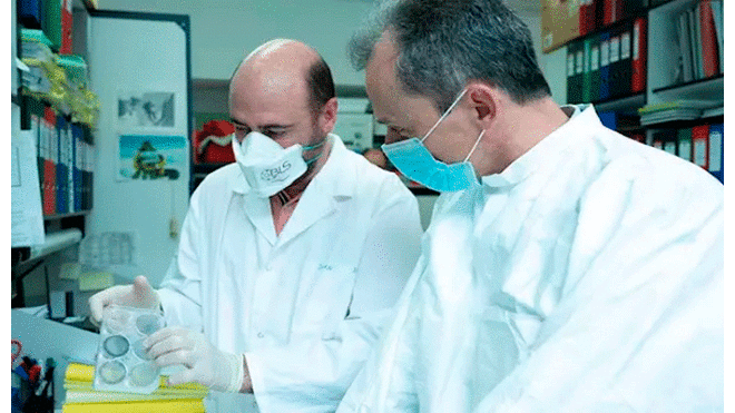 Investigadores del CNB ensayarán con animales el candidato a vacuna frente a la COVID-19. Foto: ciencia.gob.es