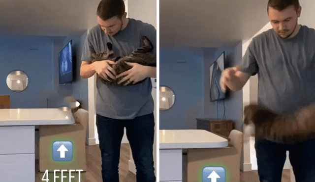 Desliza hacia la izquierda para ver el resultado del experimento que hizo un joven con su gato. Video es viral en YouTube.