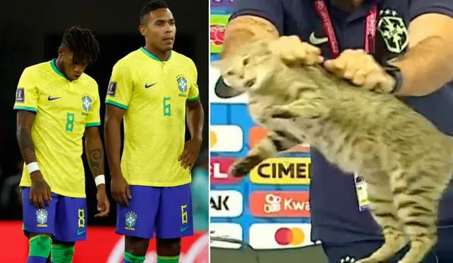 El incidente con el gato se produjo un día antes del partido Brasil vs. Croacia por cuartos de final del Mundial Qatar 2022. Foto: composición EFE/captura de video