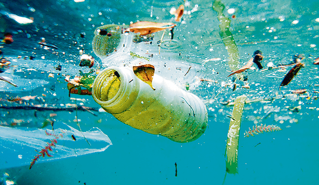 ONU llama a acabar con la contaminación por plástico en el ‘Día de la Tierra’