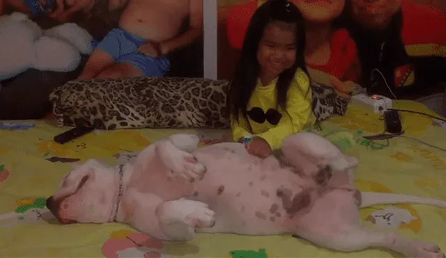 Facebook: Perro enternece las redes al disfrutar de las cosquillas de una niña [VIDEO]