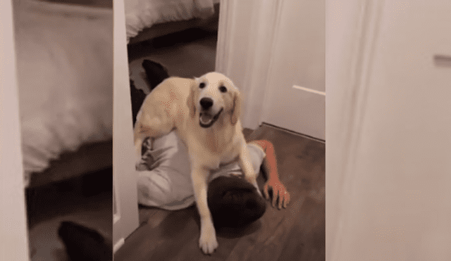 Video es viral en Facebook. Mujer grabó la peculiar reacción que tuvo el can cuando vio que su amo se desvanecía de forma repentina. Fotocaptura: YouTube