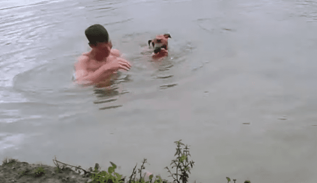 Vía Facebook. El can vigilaba atentamente a su dueño mientras se bañaba en un lago de gran profundidad hasta que percibió que algo malo pasaba