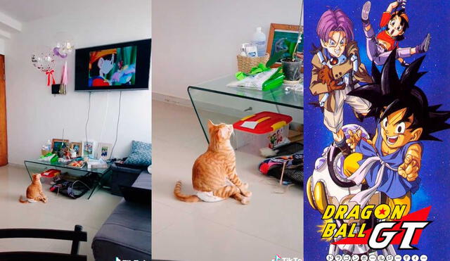 Desliza las imágenes para ver la singular reacción que tuvo este gatito al ver el opening de Dragon Ball GT. Foto: captura de TikTok/soyelgatoleopoldo