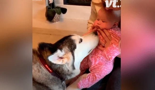 A través de Facebook se hizo viral el tierno momento en que un par de perros conocen a un bebé recién nacido.