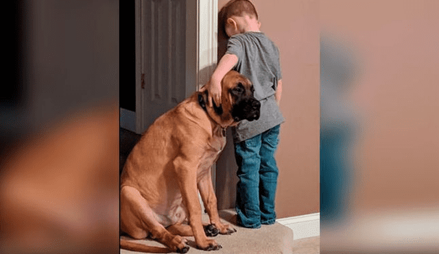 Perro acompaña a niño durante su castigo y conmueve a las redes