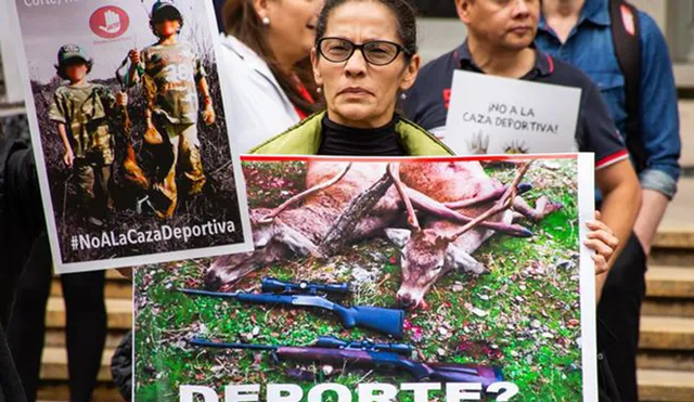 “Un país amigable con los animales”: Colombia prohíbe caza deportiva por considerarla maltrato