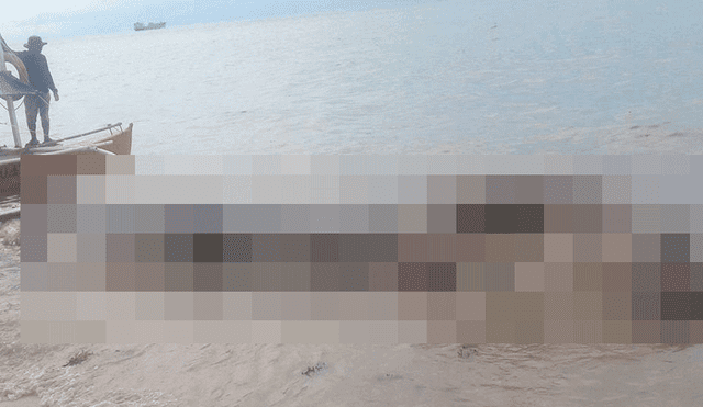 Facebook: Enorme criatura varada en la playa causa desconcierto entre científicos [FOTOS]