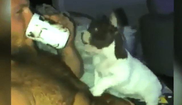 Vía Facebook: Hombre no le invita bebida a su perro y él tiene cruel venganza [VIDEO]