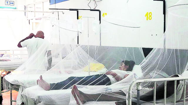 Acuda a entidades de salud ante sospecha de dengue