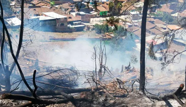 Autoridades y moradores luchan por mitigar las llamas. Foto: COER