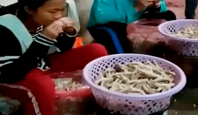 Captan a comerciantes pelando patas de pollos con la boca para ofrecerlos en los mercados [VIDEO] 