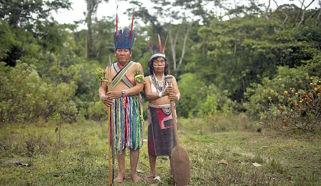 Proyecto de fujimorista Tubino amenaza pueblos indígenas de Purús