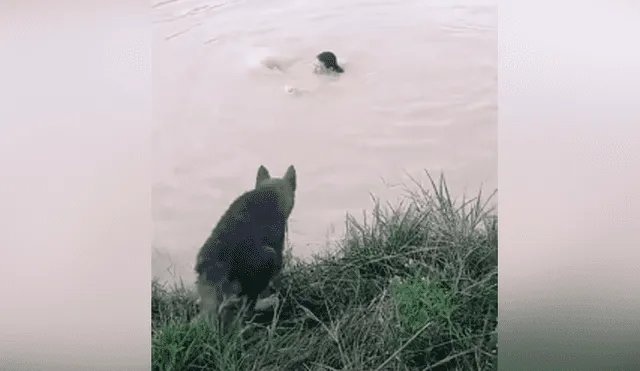 Desliza hacia la izquierda para ver las imágenes del viral de YouTube. Foto: Captura.