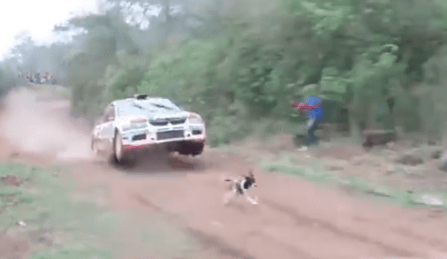 Facebook viral: perro ingresa a pista de carreras y se salva de morir atropellado de forma ‘milagrosa’