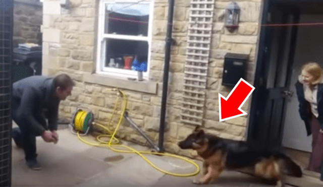 YouTube viral: así reaccionó un perro cuando se reencontró con el hombre que lo abandonó [VIDEO]
