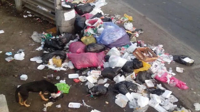 Continúa el exceso de basura en distrito