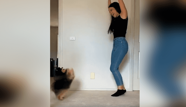 Desliza las imágenes hacia la izquierda para apreciar la divertida coreografía que realizó un perro con su dueña.