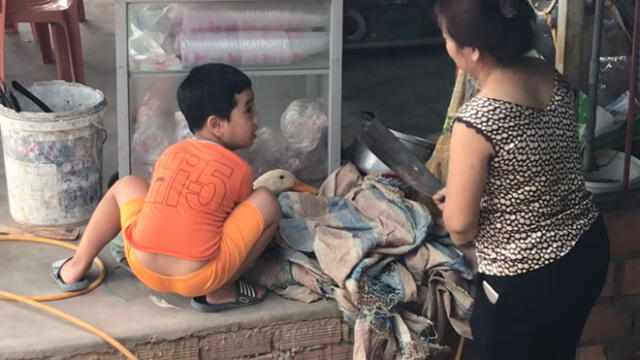 YouTube: señora quiso matar a un pato para cocinarlo y su hijo hizo lo inesperado