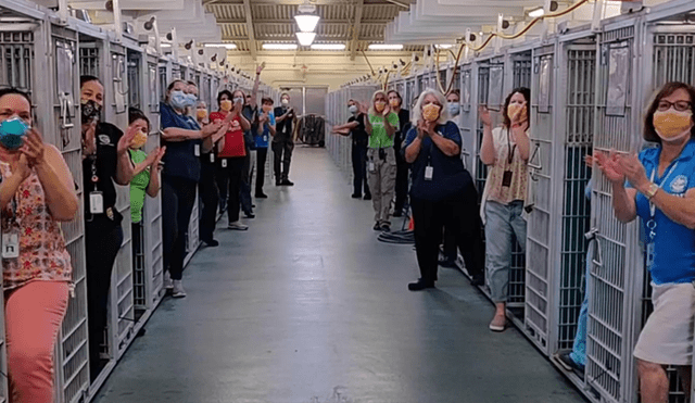 Los trabajadores de un refugio festejaron que todos sus animales consiguieron ser adoptados. Foto: Captura