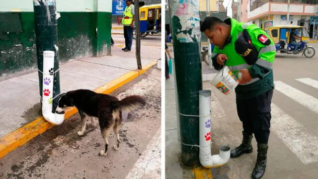 La Libertad: Policía instaura dispensador de comida para perros callejeros