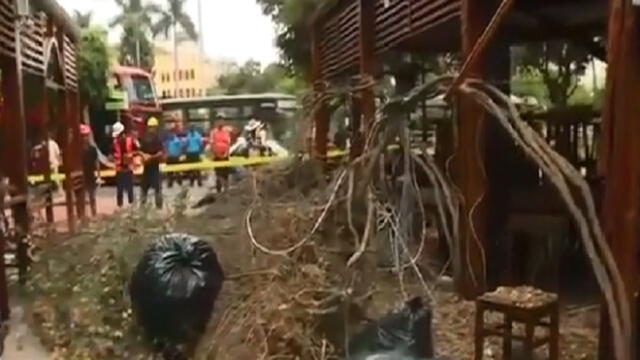 Miraflores: inician demolición de locales en Calle de las Pizzas [VIDEO]