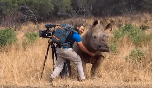 Desliza las imágenes hacia la izquierda para apreciar la sentimental escena protagonizada por un rinoceronte.