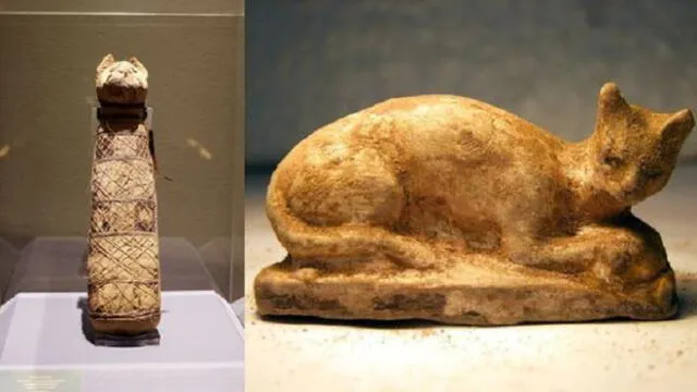 La momia está conservada en el Museo de Bellas Artes de Rennes.