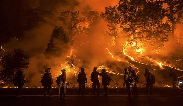 Intentó eliminar nido de avispas y provocó el incendio forestal más devastador de California
