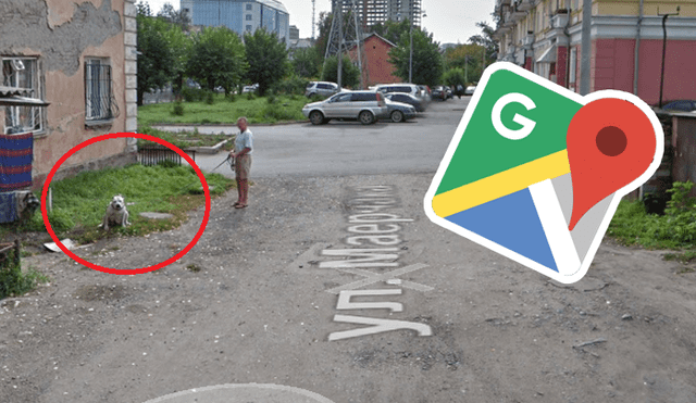 Google Maps: perro pitbull ve el auto de Google y reacciona así [FOTOS]