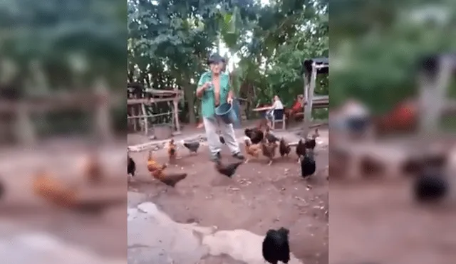 YouTube Viral: Anciano asombra por su forma de "encantar" gallinas [VIDEO]
