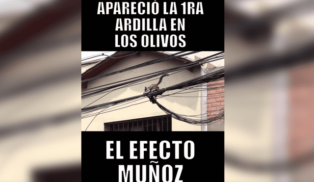 Facebook viral: graciosos memes sobre el 'Efecto Muñoz' en Lima genera furor en las redes [FOTOS] 