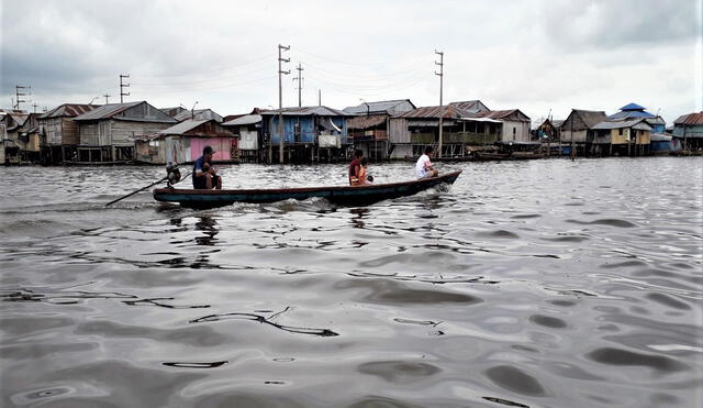 Amazonía del Perú. Foto Franklin Cornejo Urbina.