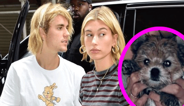 Repudian a Justin Bieber y Hailey Baldwin por supuesto maltrato animal [VIDEO]