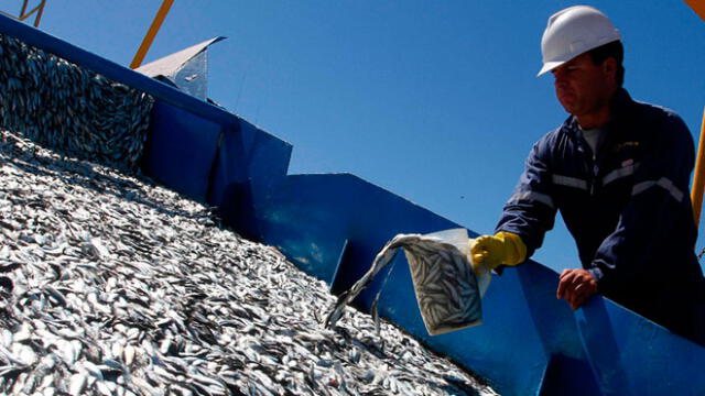 Sociedad Nacional de Pesquería saludó reinicio de la temporada de anchoveta