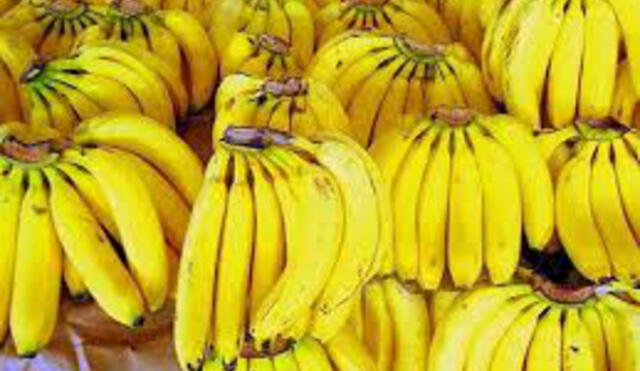 Colombia declara emergencia nacional por presencia de hongo letal para plátanos 