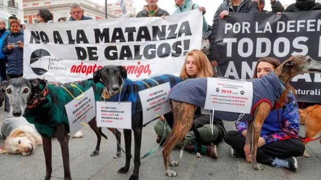 La finalidad de la protesta es que se cree una ley de protección animal. (Foto: RTVE)
