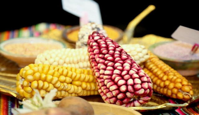 Agricultores de Cusco recuperaron productos en riesgo de desaparición
