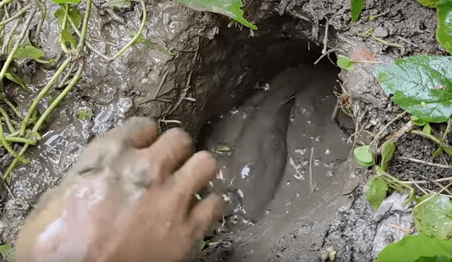 En Facebook, un pescador compartió el misterioso hallazgo que hizo dentro de un hoyo de barro.