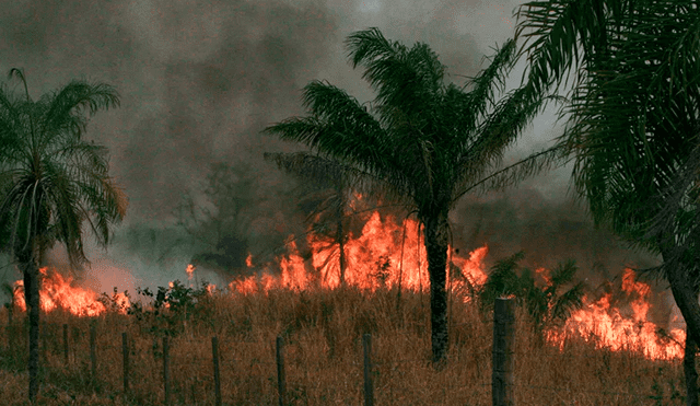 En 2019, el gobierno de Evo Morales fue criticado por no haber declarado desastre nacional cuando los incendios afectaban a miles de hectáreas en Bolivia. Foto: AFP