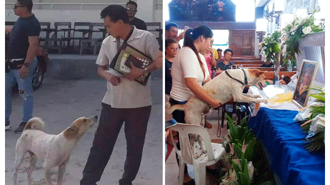 Facebook: Perro acompaña ataúd de profesor que lo cuidó en escuela de Filipinas [FOTOS]