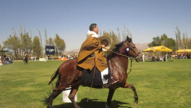 Concurso de Caballo Peruano de Paso
