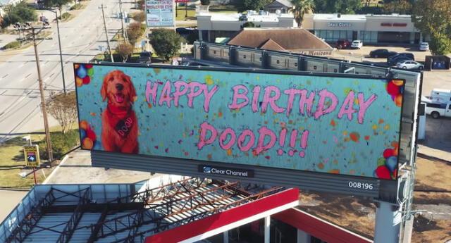 Youtuber alquila cartel publicitario por el cumpleaños de su perrito [VIDEO]