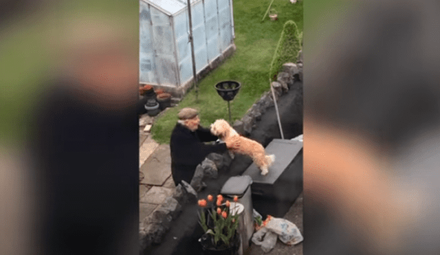 Desliza las imágenes para apreciar el amoroso momento entre un perro y su vecino durante la cuarentena.