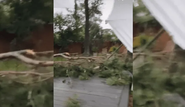 Video es viral en Facebook. Joven salió al jardín de su casa para bailar en plena tormenta, sin imaginar el intempestivo incidente que estaría a punto de sufrir.