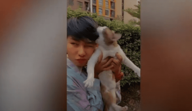 Video es viral en Facebook. Felino espantó al joven, luego de que este lo cargara para sacarse una ‘tierna’ fotografía.