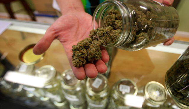 Argentina aprueba el uso de marihuana con fines medicinales