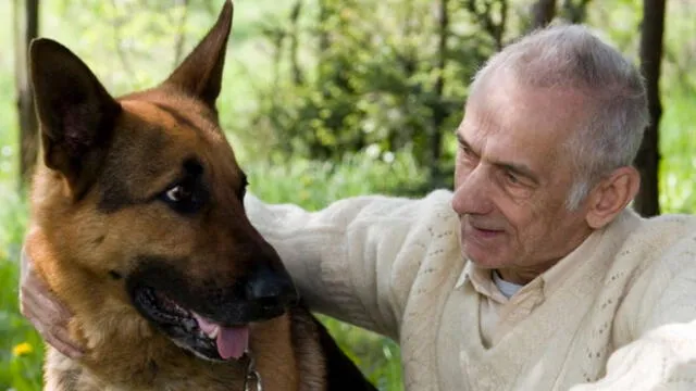 Tener un perro te ayuda a vivir mejor y por más años, revela estudio [VIDEO]